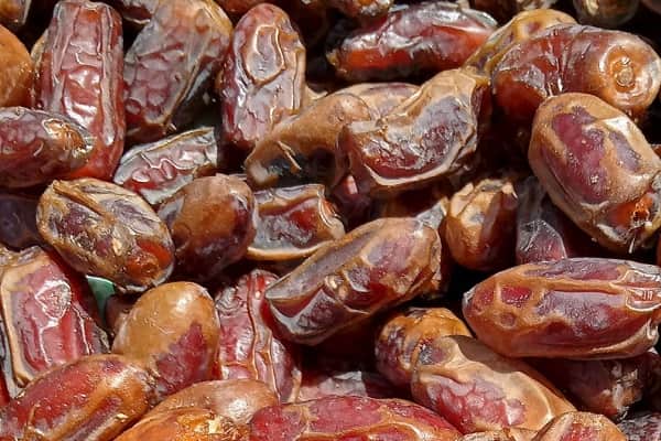 تصویر 5 از قیمت خرید خرما شاهانی صادراتی جهرم عمده به صرفه و ارزان